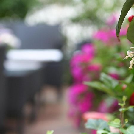 Hotel Charleston Spoleto Ngoại thất bức ảnh