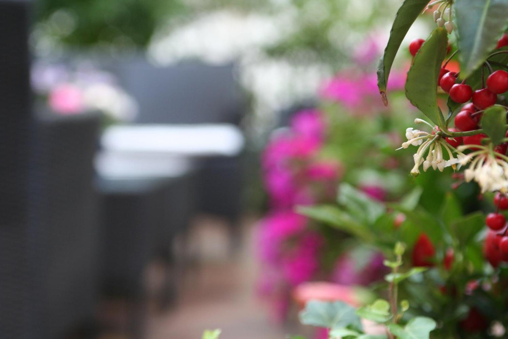 Hotel Charleston Spoleto Ngoại thất bức ảnh